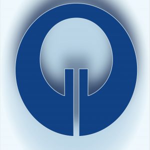 logo-vicinelli logo-vicinelli