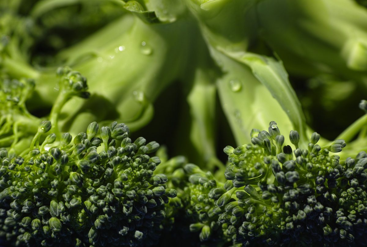A TU PER TU CON LA VERDURA DI STAGIONE: IL BROCCOLO