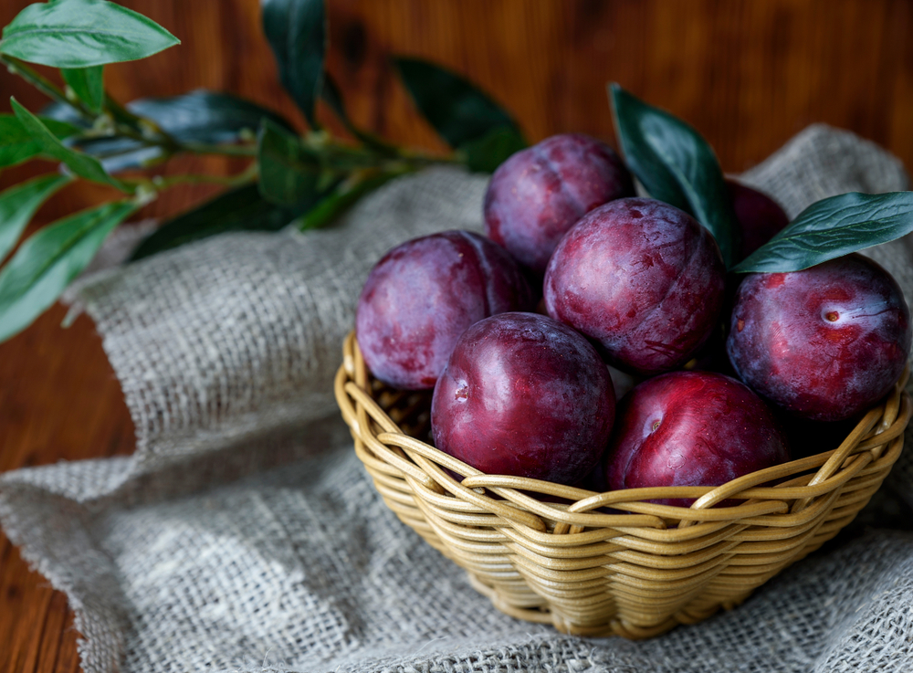 A TU PER TU CON LA FRUTTA DI STAGIONE: LE PRUGNE