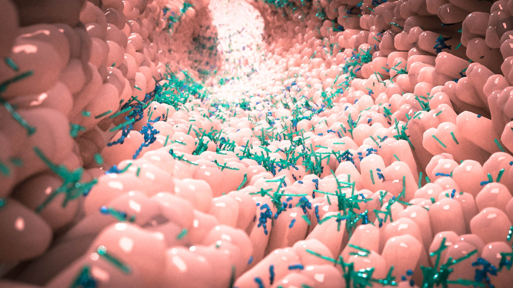 MICROBIOTA E NASCITA: GLI EFFETTI SULLA SALUTE