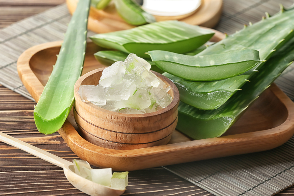 ALOE VERA: LA PIANTA DALLE MILLE PROPRIETÀ
