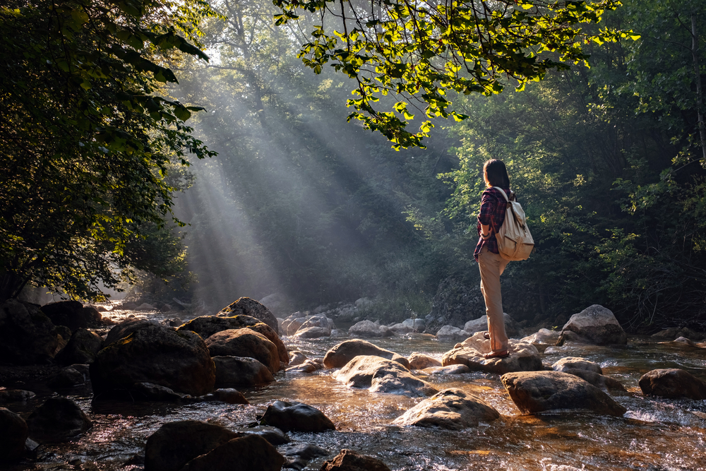 Camminare nella natura e salute mentale: quale correlazione