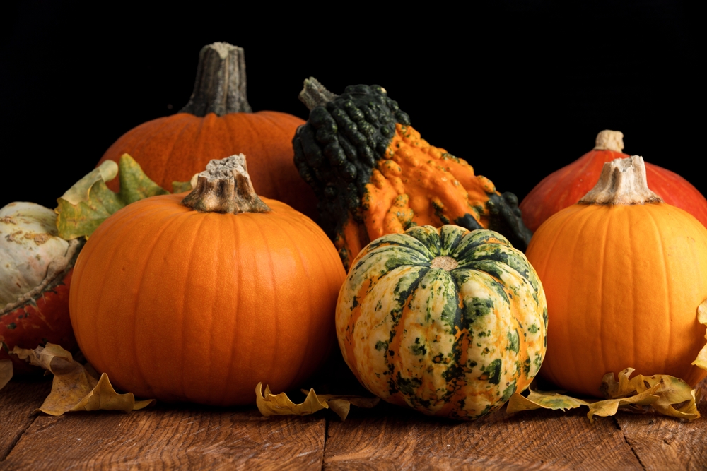 I benefici della zucca