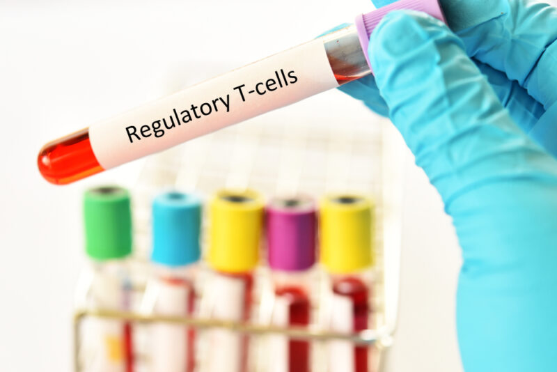 tolleranza immunitaria